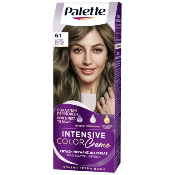 Palette Μόνιμη Κρέμα Βαφή Μαλλιών 6.1 ΞΑΝΘΟ ΣΚΟΥΡΟ ΣΑΝΤΡΕ