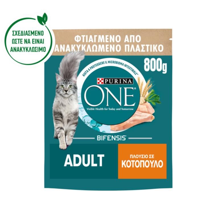 Purina ONE Adult Κοτόπουλο & Δημητριακά Ολικής Άλεσης 800g